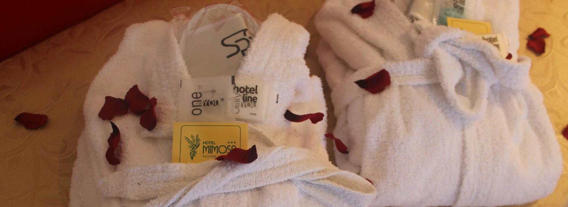 hotelmimosa en rooms 013